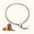 Dog Collar Shepherds Chain